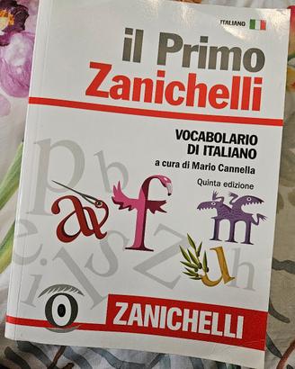 dizionario
