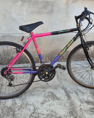 Mountain Bike Vintage anni '90 Ruote 26"