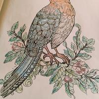 mandala e disegni favolosi 