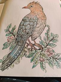 mandala e disegni favolosi 