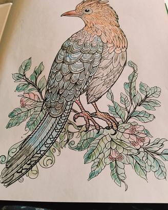 mandala e disegni favolosi 
