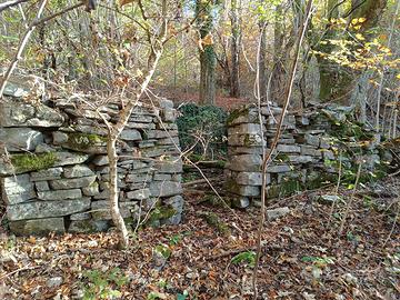 Bosco + resti stavolo