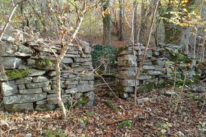 Bosco + resti stavolo