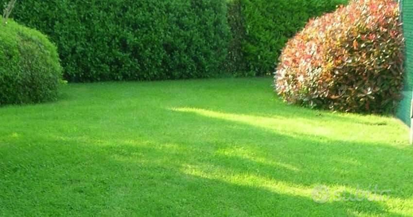 Terreno di 658 m² a Mirandola - Vista 3