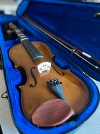 Violino