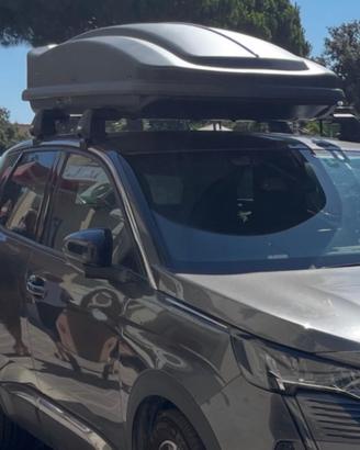 Box da tetto auto, cassettone