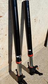 forcelle duke 890r