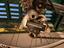 Immagine 3