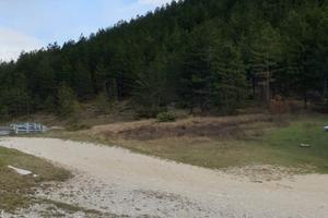Pineta 20.000 mq - Giammaturo (Monte Piselli, AP)
