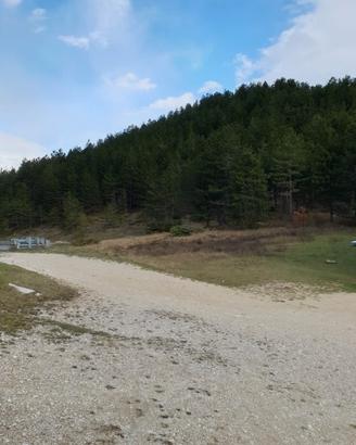 Pineta 20.000 mq - Giammaturo (Monte Piselli, AP)