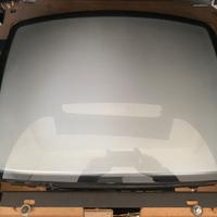 Monitor Arcade Hantarex 20 pollici