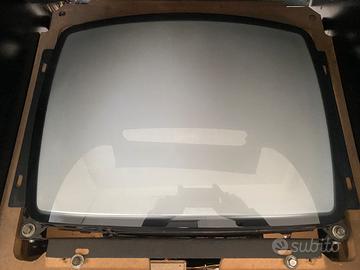 Monitor Arcade Hantarex 20 pollici