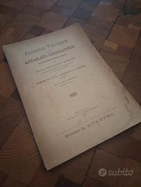 Anatomia patologica  apparato circolatorio, 1899