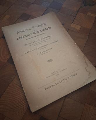Anatomia patologica  apparato circolatorio, 1899