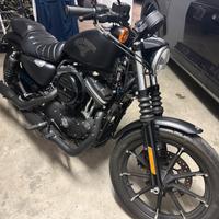 Harley Davidson SPOSTER IRON XL 883N