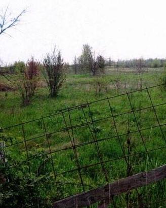 Immobile in asta di 12929 m² a Nonantola