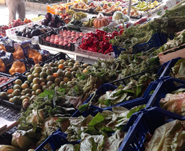 Bottega Frutta e Verdura