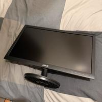Monitor asus 24 pollici
