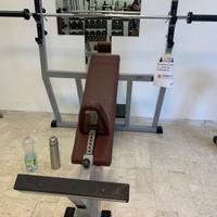 Panca Inclinata Technogym 