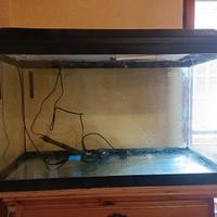acquario 140 litri