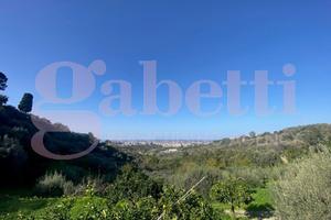 Terreno Agricolo Barcellona Pozzo di Gotto