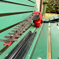 TAGLIASIEPI TELESCOPICO ELETTRICO