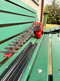 TAGLIASIEPI TELESCOPICO ELETTRICO