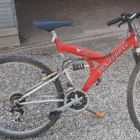 Bicicletta Mountain Bike