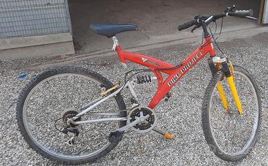 Bicicletta Mountain Bike