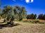 Immagine 27