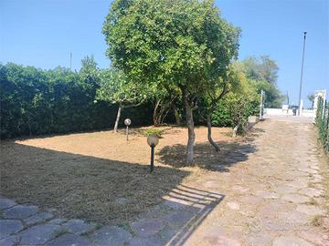 A000783 - MARCELLI A 30 METRI DAL MARE