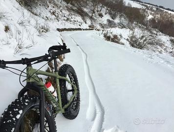 Bicicletta Specialized