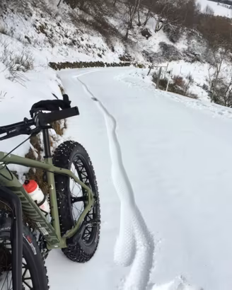 Bicicletta Specialized