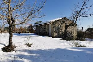Cascina/Casale - Nicolosi
