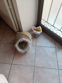 corredo per piccolo animale