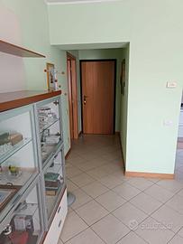 Vendita appartamento Lodi