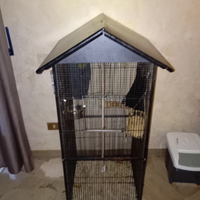 Petauri dello zucchero