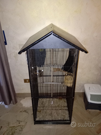 Petauri dello zucchero