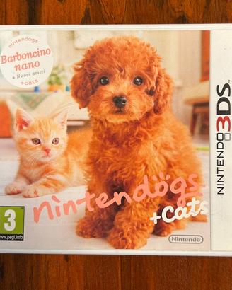 Nintendodogs cats barboncino nano