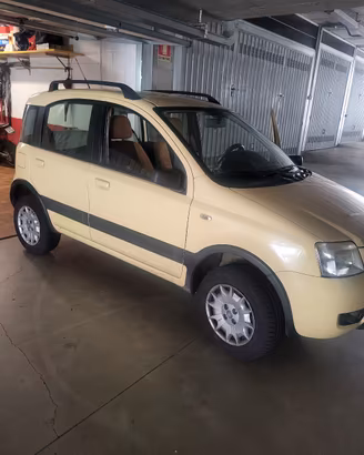 Panda 4x4 Climbing 1.2 benzina 
