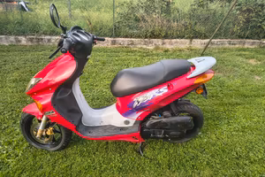 Honda x8rs 