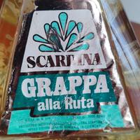 Grappa alla Ruta Scardina – 2 litri