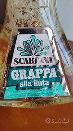 Grappa alla Ruta Scardina – 2 litri
