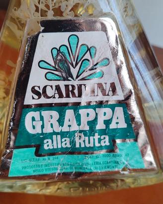 Grappa alla Ruta Scardina – 2 litri