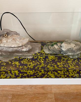 Acquario  per tartaruga