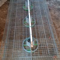 gabbia per conigli 