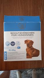 Mutandine ciclo cane