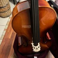 Violoncello