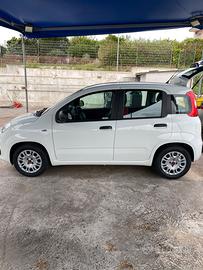 Fiat Panda 1.2 benzina 2016