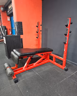 panca inclinata e panca declinata Technogym 